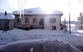 Hotel Les Sapins